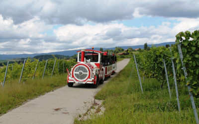 Petit Train des Vignes
