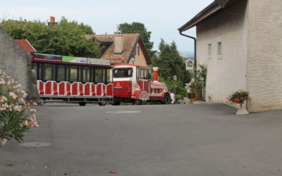 Petit Train des Vignes