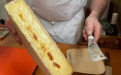 Journée des Propriétaires de Ceps